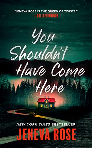 Cover of You Shouldn’t Have Come Here