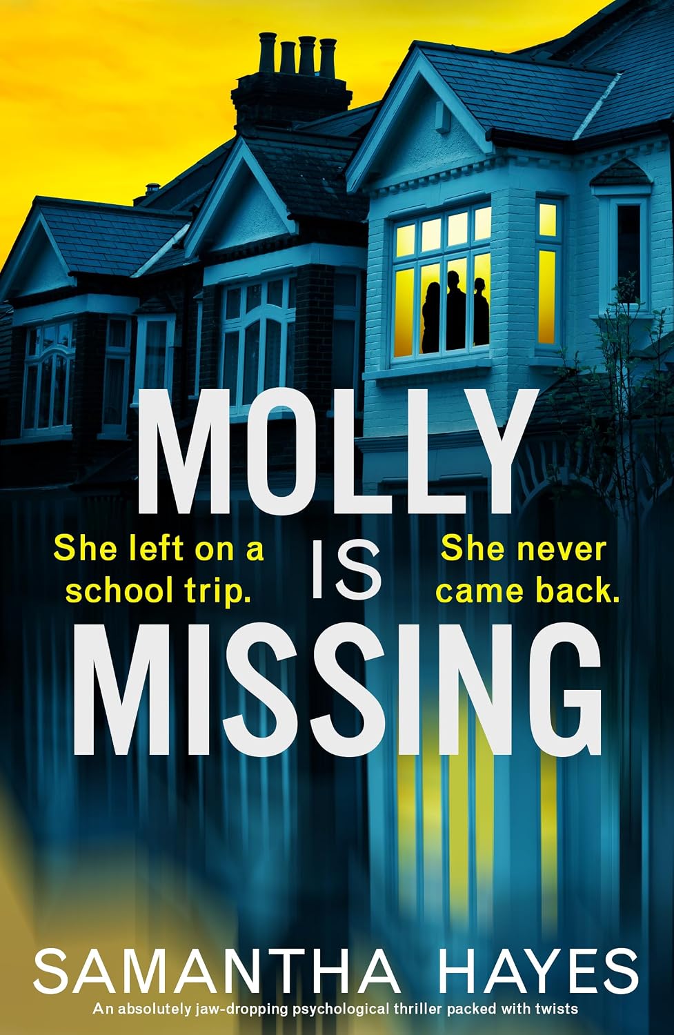 Cover for Molly Is Missing